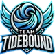 Gaimin Gladiators проиграли Tundra Esports и опустились в нижнюю сетку плей-офф PGL Wallachia S3